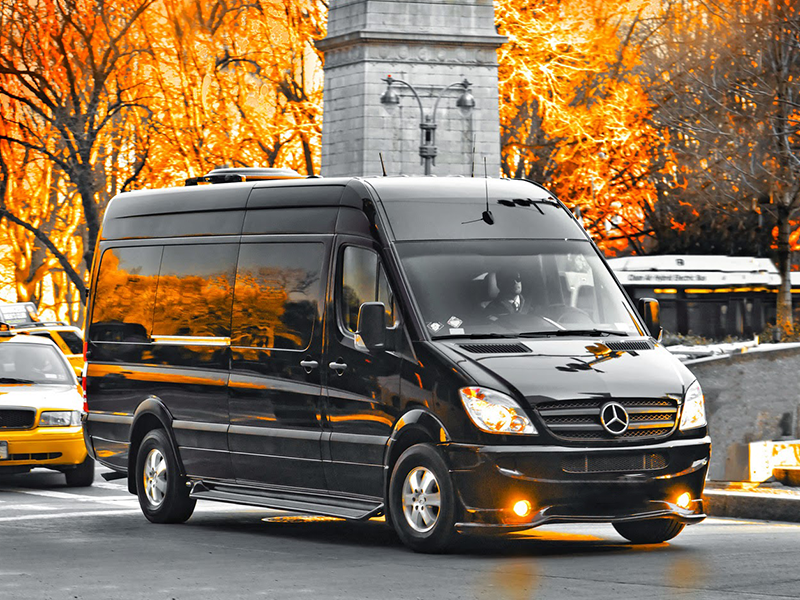VIP Minibüs